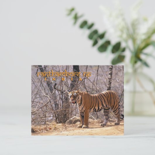 India Briefkaart (Staand voorkant)