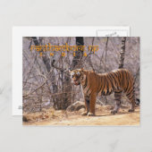 India Briefkaart (Voorkant / Achterkant)