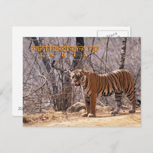 India Briefkaart (Voorkant / Achterkant)