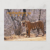 India Briefkaart (Voorkant)