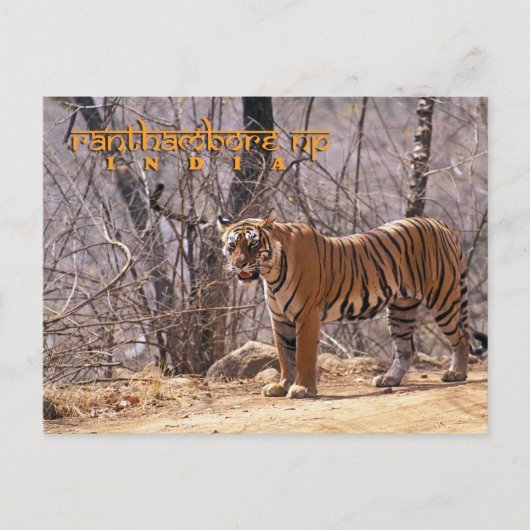 India Briefkaart (Voorkant)