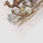 India Camels  Illustration, 1820 Decoupage Tissuepapier (Detail)