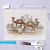 India Camels  Illustration, 1820 Decoupage Tissuepapier (Craft)
