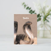 India Cobra Briefkaart (Staand voorkant)