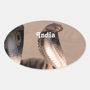 India Cobra Ovale Sticker