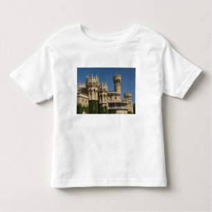 INDIA, Karnataka, Bangalore: Bangalore Palace Kinder Shirts