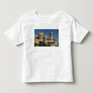 INDIA, Karnataka, Bangalore: Bangalore-paleis Kinder Shirts