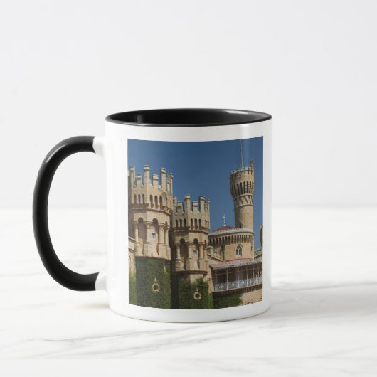 INDIA, Karnataka, Bangalore: Bangalore-paleis Mok (Links)