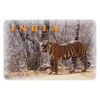 India Magneet