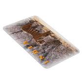 India Magneet (Rechterzijde)