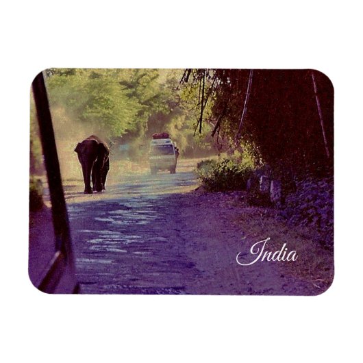 India Magneet (Horizontaal)