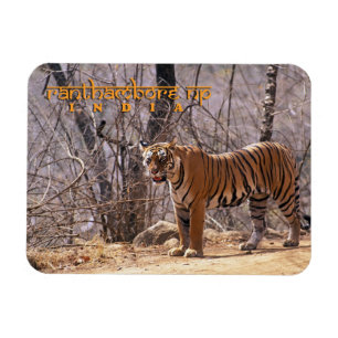 India Magneet