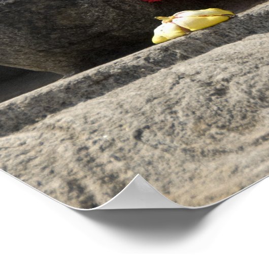 India, Mangalore, Karkala. Jains religie Poster (Hoek)