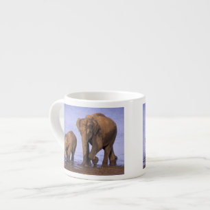 India, Nagarhole National Park. Aziatische olifant Espresso Kop