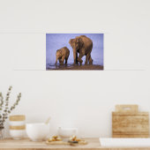 India, Nagarhole National Park. Aziatische olifant Poster (Keuken)