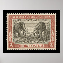 India Poster voor postzegelreizen