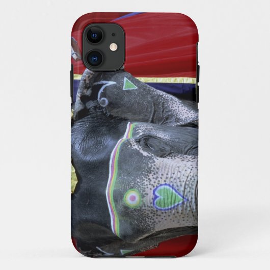 India, Rajasthan, Jaipur. Fort Amber. Case-Mate iPhone Case (Achterkant)
