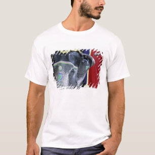 India, Rajasthan, Jaipur. Fort Amber. T-shirt