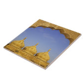 India, Rajasthan, Jaisalmer. Sandsteenkoepels Tegeltje (Zijkant)