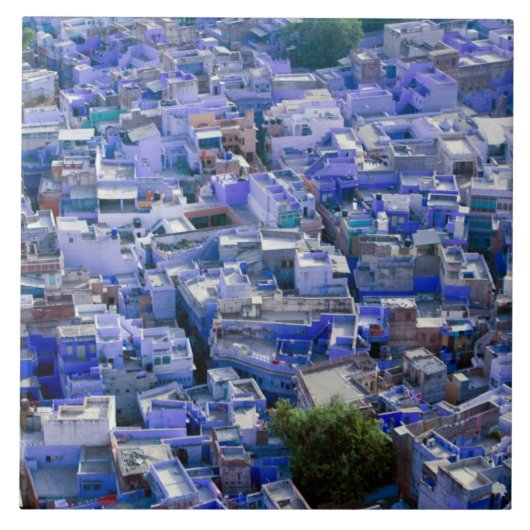 INDIA, Rajasthan, Jodhpur: Blauwe stad Jodhpur Tegeltje (Voorkant)