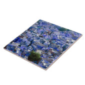 INDIA, Rajasthan, Jodhpur: Blauwe stad Jodhpur Tegeltje (Zijkant)