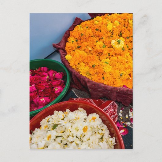 India, Rajasthan, Pipar Briefkaart (Voorkant)