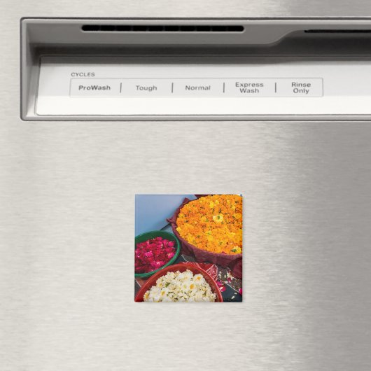 India, Rajasthan, Pipar Magneet (Insitu (Vaatwasser))