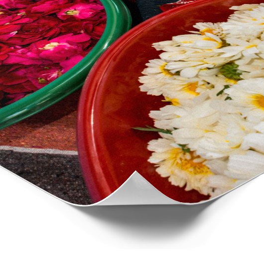 India, Rajasthan, Pipar Poster (Hoek)