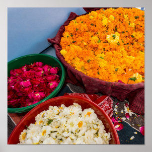 India, Rajasthan, Pipar Poster