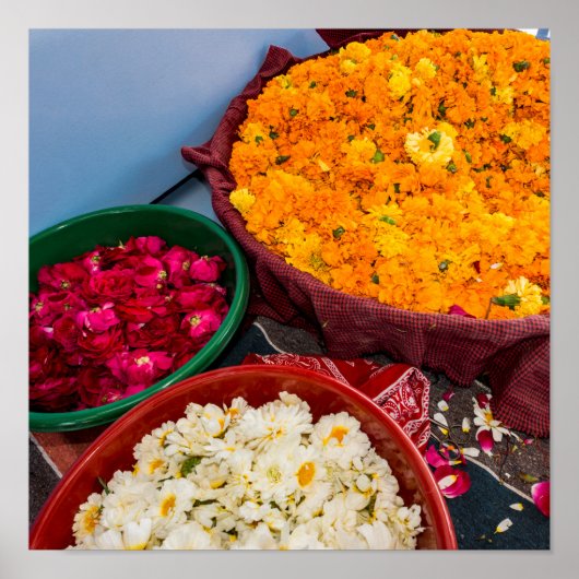 India, Rajasthan, Pipar Poster (Voorkant)