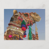 INDIA, Rajasthan, Pushkar: PUSHKAR CAMEL FAIR; Briefkaart (Voorkant)