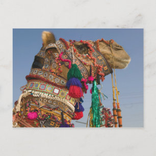 INDIA, Rajasthan, Pushkar: PUSHKAR CAMEL FAIR; Briefkaart