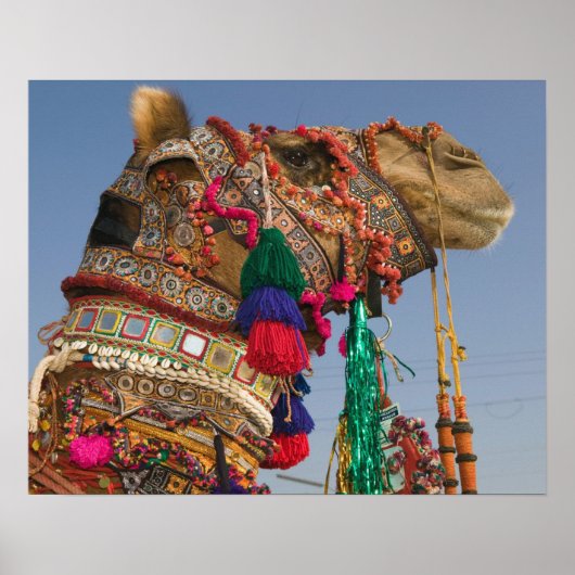 INDIA, Rajasthan, Pushkar: PUSHKAR CAMEL FAIR; Poster (Voorkant)
