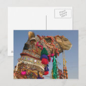 INDIA, Rajasthan, Pushkar: PUSHKAR KAMEELMARKT, Briefkaart (Voorkant / Achterkant)