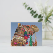 INDIA, Rajasthan, Pushkar: PUSHKAR KAMEELMARKT, Briefkaart (Staand voorkant)