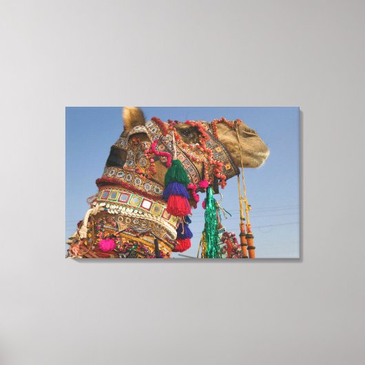 INDIA, Rajasthan, Pushkar: PUSHKAR KAMEELMARKT, Canvas Afdruk (Voorkant)