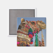 INDIA, Rajasthan, Pushkar: PUSHKAR KAMEELMARKT, Magneet (Voorkant / Achterkant)