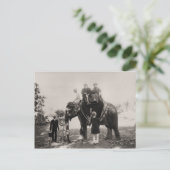 India, reizen door olifant Briefkaart (Staand voorkant)