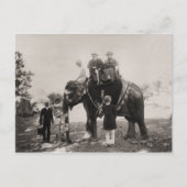  India, reizen door olifant Briefkaart (Voorkant)