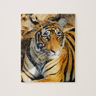 India, Sawai Madhopur, Ranthambore Nationaal Legpuzzel