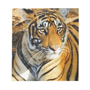 India, Sawai Madhopur, Ranthambore Nationaal Notitieblok