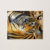 India, Sawai Madhopur, Ranthambore National Legpuzzel (Horizontaal)