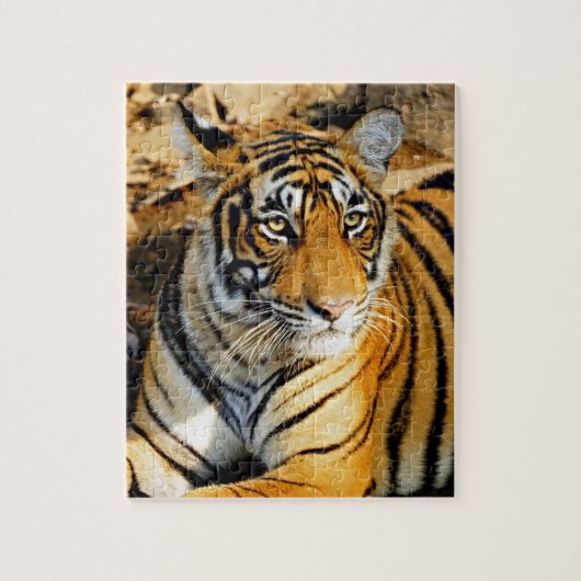 India, Sawai Madhopur, Ranthambore National Legpuzzel (Verticaal)