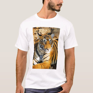 India, Sawai Madhopur, Ranthambore National T-shirt