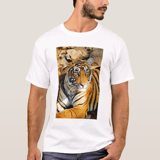 India, Sawai Madhopur, Ranthambore National T-shirt (Voorkant)