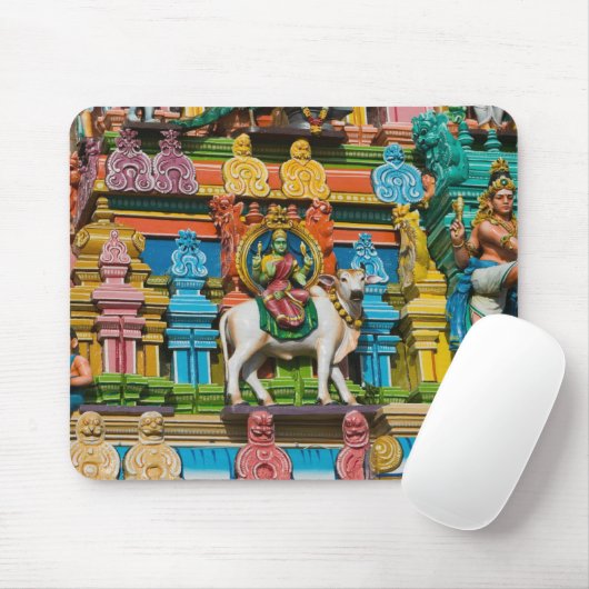 INDIA, Tamil Nadu, Chennai: Kapaleeshwarar Muismat (Met muis)