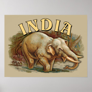India Wildlife - Indische olifant Poster