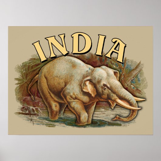 India Wildlife - Indische olifant Poster (Voorkant)
