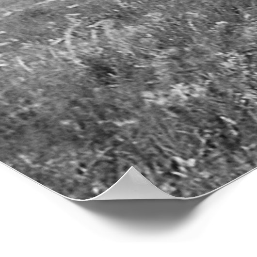 Indiaans  portret poster (Hoek)