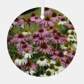 Indiaans wortelgebruik, historisch gebruik. glas ornament (Achterkant)